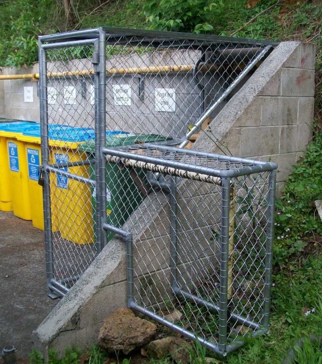 Safety cage for a gas line