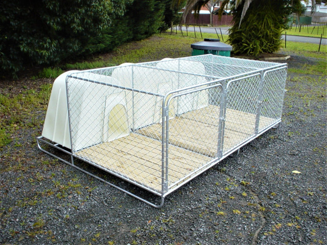 Triple dog kennel and run